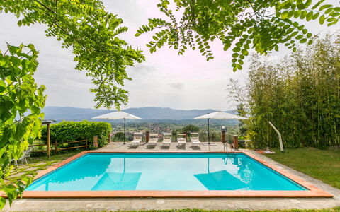Reggello 867: Water, Plant, Daytime, Property, Swimming Pool, Sky, Green, Nature, Azure, Shade