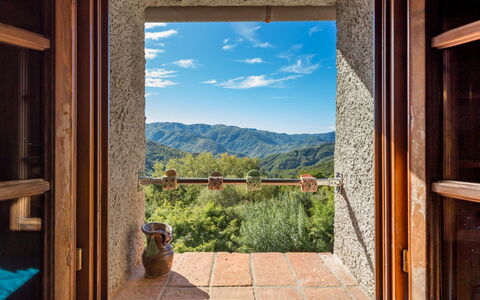 Kiwii: Window, Room, Sky, Mountain, House, Interior Design, Tree, Home, Building, Daylighting