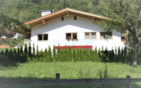 Michi: Plant, Building, Window, Tree, House, Land Lot, Grass, Cottage, Residential Area, Fence