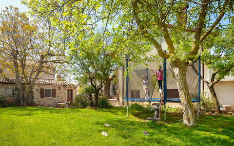 Stari Brist: Tree, Property, House, Home, Grass, Yard, Spring, Real Estate, Lawn, Woody Plant