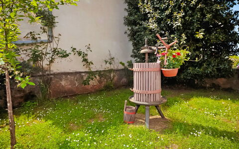 Stari Brist: Yard, Garden, Tree, Grass, Backyard, Plant, Spring, Lawn, Shrub, Flower
