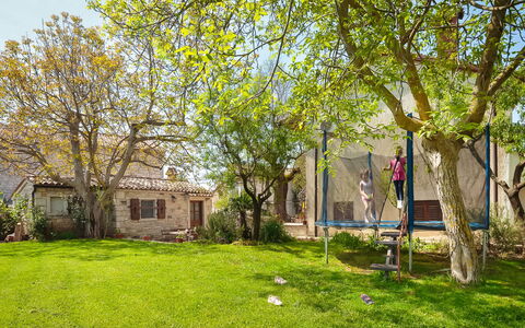 Lišera: Tree, House, Property, Home, Natural Landscape, Grass, Spring, Yard, Lawn, Real Estate