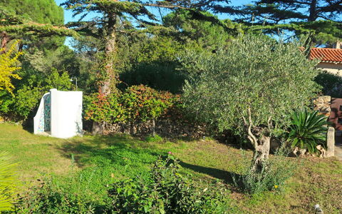 Omer: Tree, Vegetation, Property, House, Botany, Plant, Grass, Garden, Woody Plant, Shrub