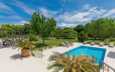 Villa Bernard: Cloud, Sky, Water, Plant, Botany, Tree, Swimming Pool, Vegetation, Arecales, Shade