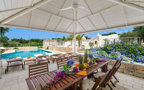 Borgo Marianna: Flower, Plant, Property, Furniture, Water, Table, Umbrella, Chair, Outdoor Furniture, Shade