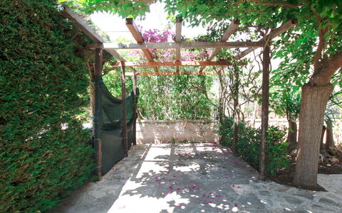 Villa Irene: Property, Botany, Tree, Building, Walkway, Garden, Courtyard, Architecture, Plant, Backyard