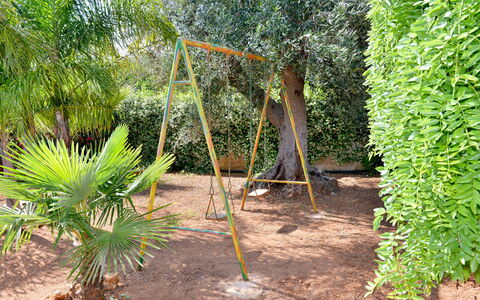 Villa Lidia Con Piscina: Tree, Vegetation, Plant, Botany, Terrestrial Plant, Biome, Woody Plant, Palm Tree, Grass Family, Arecales