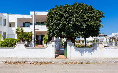 Appartamento Panorama Sul Mare: Residential Area, Tree, Property, Neighbourhood, House, Home, Town, Architecture, Real Estate, Wall