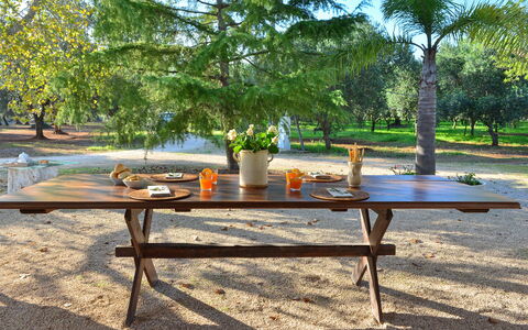 L'alcova: Furniture, Table, Picnic Table, Outdoor Table, Coffee Table, Outdoor Furniture, Tree, Grass, Leisure, Room