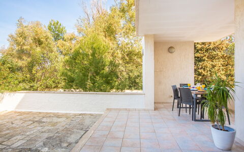 Villa Salento: Plant, Sky, Flowerpot, Shade, Wood, Floor, Grass, Flooring, Road Surface, Houseplant