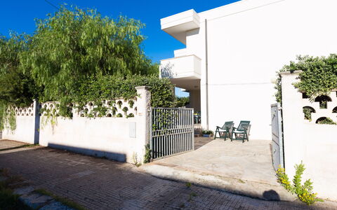 Villa Brigida: Plant, Building, Sky, Shade, Road Surface, Tree, Land Lot, Grass, Wall, Residential Area