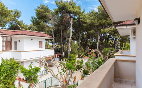 Villa Victory: Property, Real Estate, House, Building, Home, Residential Area, Architecture, Apartment, Tree, Room