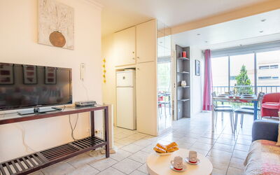 Accommodation:&nbsp;Terrasses de la Baronnie 330.3
