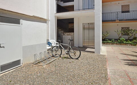 Helen: Bicycle, Wheel, Plant, Bicycle Wheel, Building, Window, Bicycle Fork