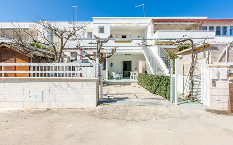 Casa Rosa: Sky, Plant, Building, Door, Shade, Window, Urban Design, Residential Area, Facade
