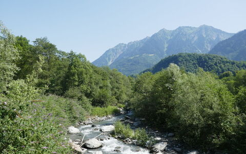 Rustico al Campett: Plant, Sky, Mountain, Water, Natural Landscape, Tree, Watercourse, Grass, Landscape