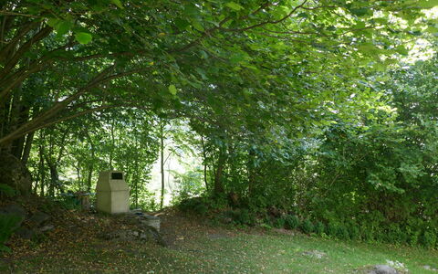 Rustico al Campett: Plant, Leaf, Natural Landscape, Shade, Tree, Trunk, Land Lot, Grass, Deciduous