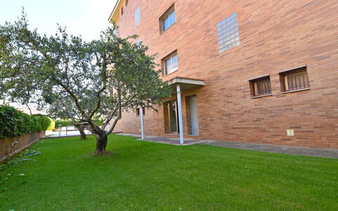 Medisol: Property, House, Grass, Lawn, Yard, Real Estate, Building, Backyard, Home, Residential Area