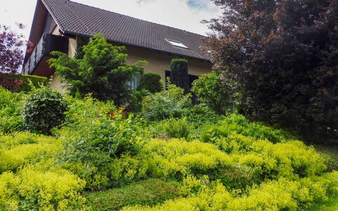 Waldvogt: Vegetation, Natural Landscape, Garden, Property, Tree, House, Shrub, Botanical Garden, Botany, Plant