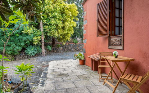 Villa Torrita: Plant, Building, Window, Flowerpot, Road Surface, Tree, Architecture, House, Neighbourhood, Wood