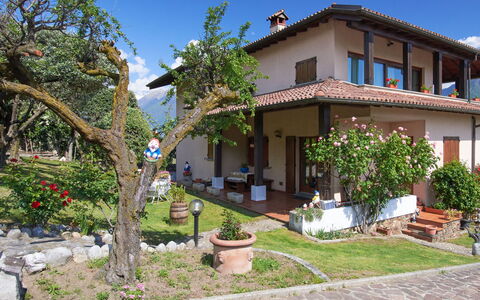 Carmen (Dma168): Plant, Sky, Building, Property, Window, Flowerpot, Tree, House, Houseplant, Urban Design