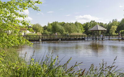 Comfort Cottage
