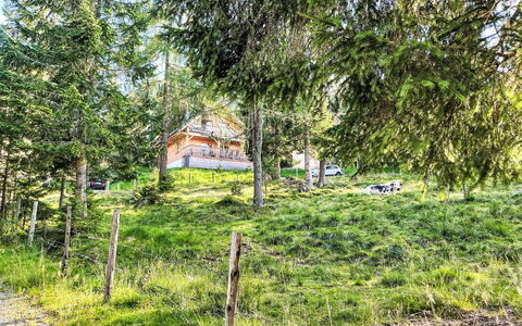 Almhaus Galisch: Tree, House, Home, Cottage, Land Lot, Rural Area, Larch, Hill Station, Slope