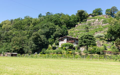 Fuentes: Natural Landscape, Vegetation, Grassland, Pasture, Property, Grass, Natural Environment, Land Lot, Farm, Meadow