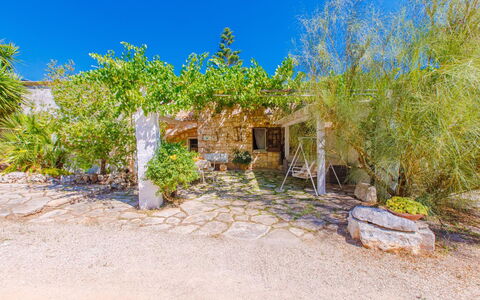 Masseria Pagliamonte: Plant, Plant Community, Sky, Window, Land Lot, Grass, House, Cottage, Natural Landscape, Real Estate