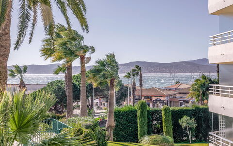 Le Mexico: Sky, Plant, Property, Water, Azure, Tree, Arecales, Vegetation, Biome, Leisure