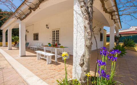 Villa Mediterranea: Property, Building, Real Estate, House, Plant, Architecture, Flower, Tree, Estate, Landscape