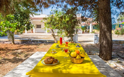 Villa Mediterranea: Property, Yellow, Tree, Table, Meal, Vacation, Leisure, Recreation, Landscape, Plant
