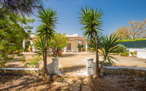 Villa Mediterranea: Property, House, Home, Real Estate, Tree, Estate, Building, Residential Area, Palm Tree, Arecales