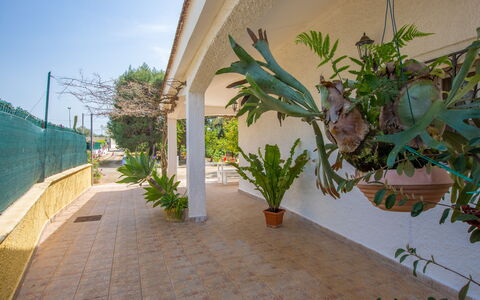 Villa Mediterranea: Sky, Plant, Building, Leaf, Road Surface, Wood, Arecales, Shade, Terrestrial Plant, Real Estate