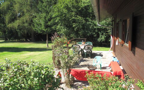 Spinka: Lawn, Yard, Garden, Grass, Botany, Tree, Backyard, House, Landscaping, Shrub