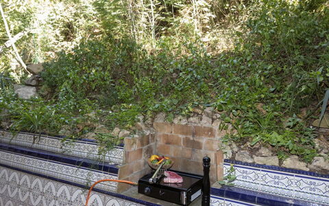 Punta Aromir: Plant, Grass, Wood, Groundcover, Gas, Shrub, Urban Design, Landscape, Garden