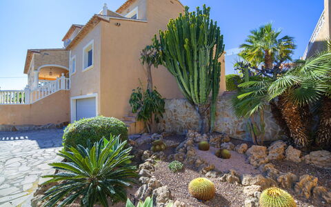 Del Pozo: Sky, Plant, Plant Community, Window, Arecales, Terrestrial Plant, Building, Vegetation, Biome, House