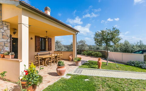 Melograno: Plant, Sky, Cloud, Building, Property, Window, Flowerpot, Houseplant, Shade, Land Lot