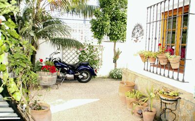 Apartamento Caracola: Plant, Wheel, Property, Flowerpot, Automotive Tire, Vehicle, Botany, Architecture