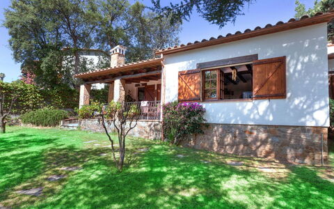 La Plaza: Plant, Sky, Building, Window, Nature, Tree, House, Natural Landscape, Land Lot, Vegetation