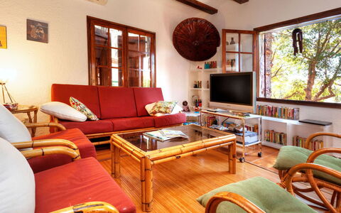 La Plaza: Couch, Table, Furniture, Picture Frame, Property, Building, Window, Television, Wood, Living Room