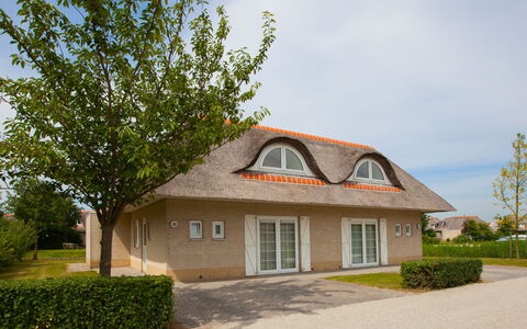 Citta Romana: Home, Property, House, Residential Area, Real Estate, Cottage, Roof, Building, Estate, Tree