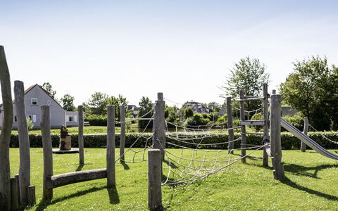 Citta Romana: Grass, Plant, Land Lot, Grassland, Garden, Pasture, Rural Area, Grass Family, Lawn
