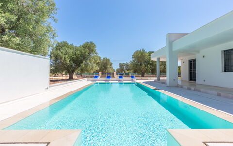 Villa Stella Cadente: Water, Sky, Building, Swimming Pool, Azure, Tree, Shade, Rectangle, Grass, Leisure