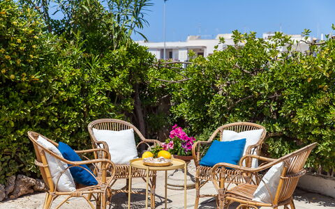 Villa Fontanelle: Plant, Furniture, Property, Plant Community, Sky, Chair, Outdoor Furniture, Botany, Table, Shade