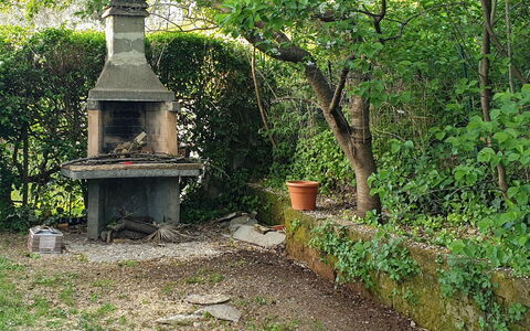 Panoramico: Green, Tree, House, Botany, Forest, Garden, Woodland, Plant, Shrub, Yard