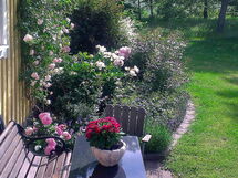 Stora Kråkhult (Vgt125)