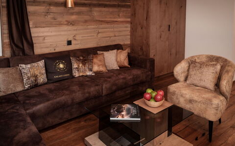 Galaxy Lodge: Brown, Couch, Furniture, Property, Comfort, Table, Wood, Studio Couch, Interior Design, Living Room