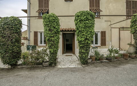 Le Narcisse: Plant, Window, Building, Property, Door, Land Lot, House, Neighbourhood, Wall