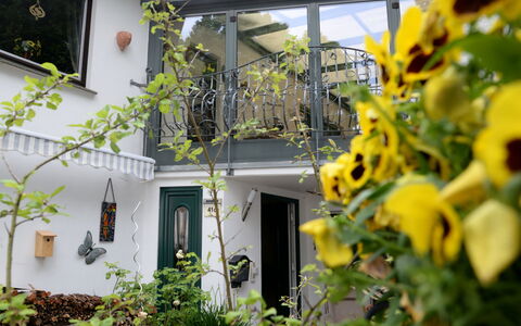 Schwalenberg 170: Plant, Building, Leaf, Nature, Botany, Window, Vegetation, Yellow, Door